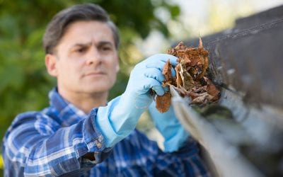 How to Clean the Gutters on Your Home